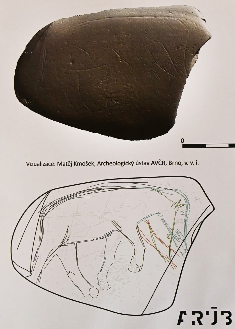Odborníci z Moravského zemského muzea v Brně představili unikátní předmět ze starší doby kamenné. Říční valoun s rytinami mamuta a hlavy koně našli na Hladovém vrchu v Ostravě.