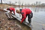 Archeologové a potápěči vylovili z rybníku u zámečku Pohansko fragmenty historického člunu.
