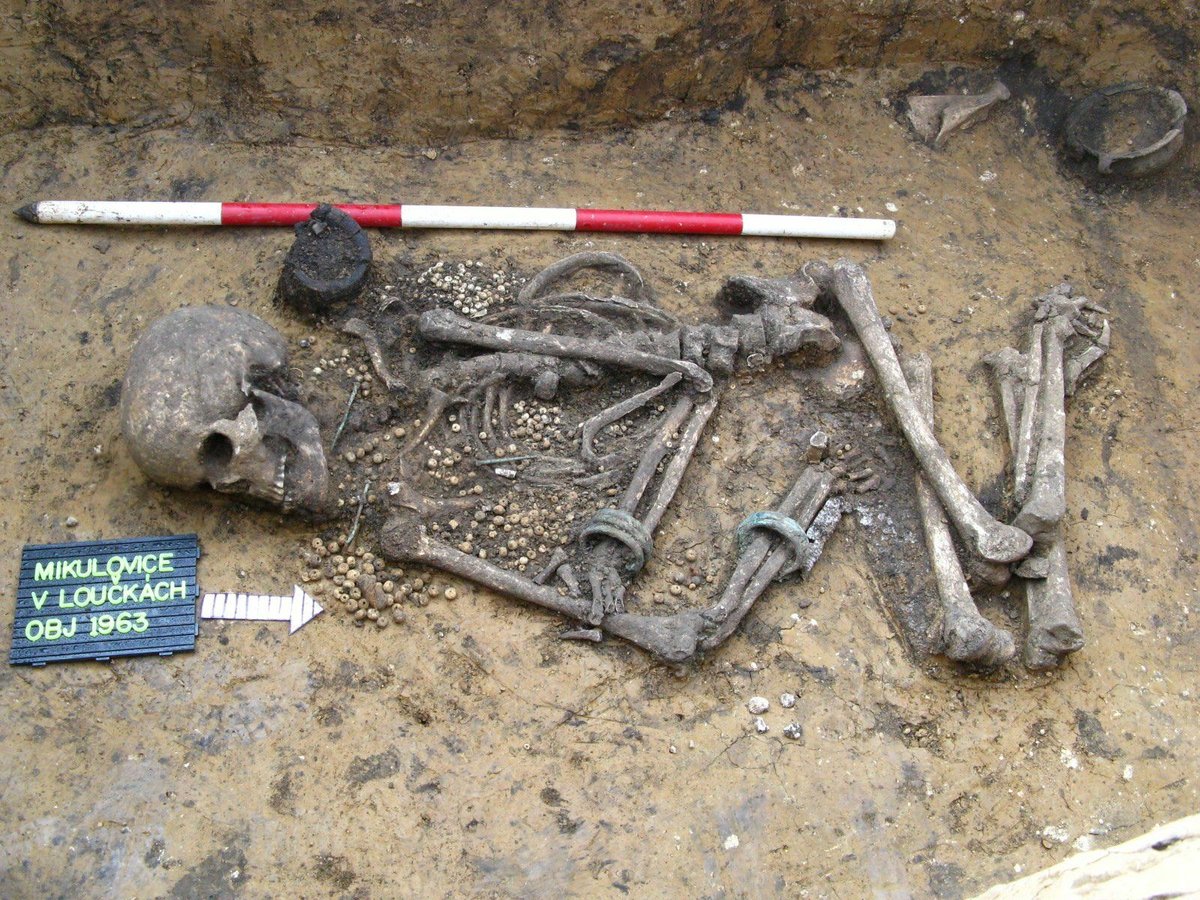 Hrob s ženou z doby bronzové v Mikulovicích u Pardubic. Uvnitř se našla bohatá výbava šperků.