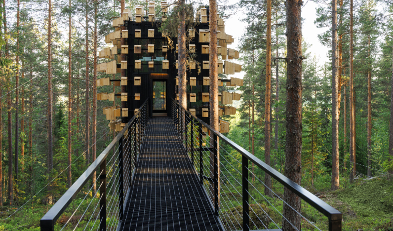 Přístup do pokoje je přes visutý most, který stoupá od země k vrcholkům stromů.