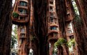 K myšlence života ve stromě přivedla autora nejvyšší sekvoj na světě zvaná Hyperion, měřící 116 metrů.