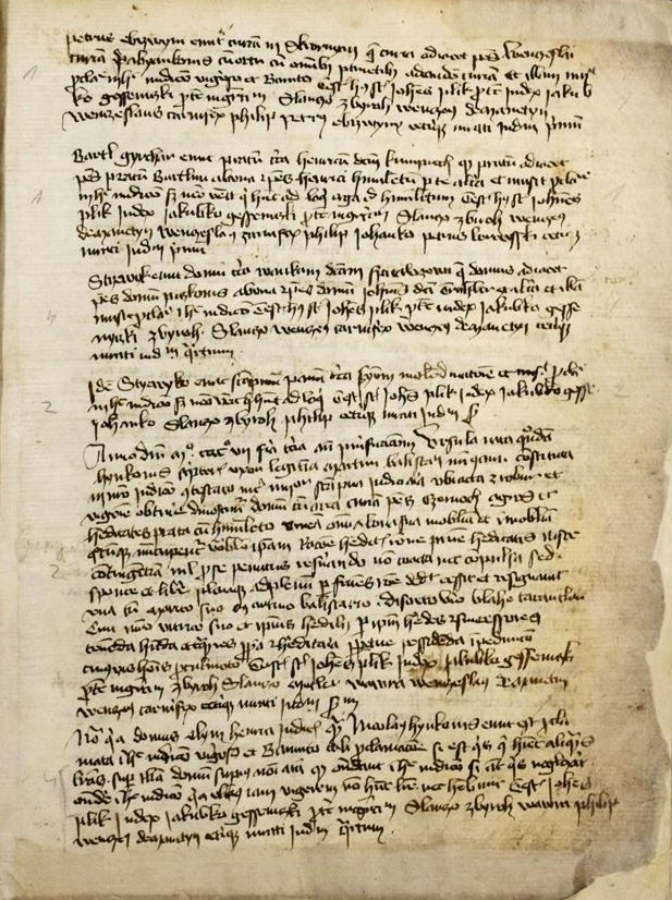 Plzeň se chlubí historickými skvosty, má pět nových archivních kulturních památek. Liber judicii (1407–1411), první soudní kniha. Jde o nejstarší městskou latinsky psanou knihu ve fondech Archivu města Plzně.