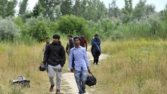 Maďarsko přijalo zákon povolující plot na hranici proti imigrantů