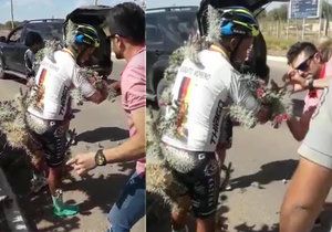 Argentinec Diego Moreno měl štěstí, i když měl při závodu nehodu a zahučel přímo do kaktusu.