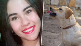 Argentinka Florencia Ledesmová si byla zaběhat, když v tom ji napadla smečka rozzuřených psů.
