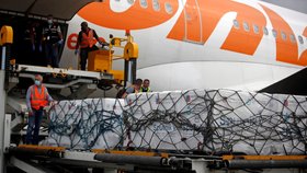 Ruská vakcína Sputnik V letecky dorazila do Venezuely (13. 2. 2021)