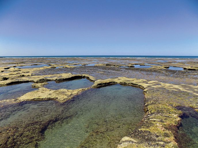 Kamenné formace kolem Playas Doradas jsou podle geologů přes 60 milionů let staré