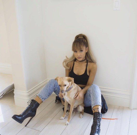 Ariana Grande zachránila Toulouse z útulku.