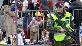 Česko vyšle zřejmě na chorvatsko-slovinské hranice vojenskou pomoc. Vyrazit může až 50 členů armády.