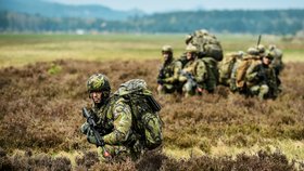 Čeští vojáci dostávají příplatek k platu v závislosti na náročnosti a nebezpečnosti mise.