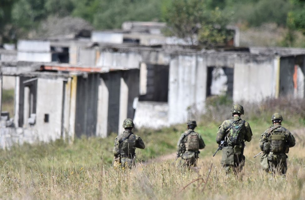 Čeští vojáci v současnosti působí v pozorovacích nebo mírových misích.