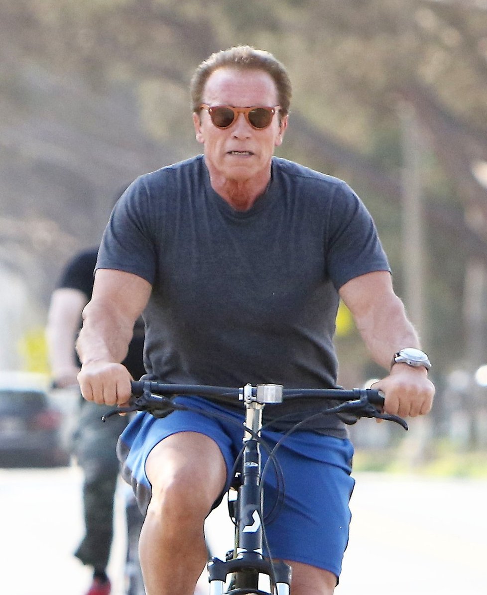 Arnold Schwarzenegger, legenda akčních filmů, kulturista i politik