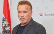 Arnold Schwarzenegger - 71 let, 2019