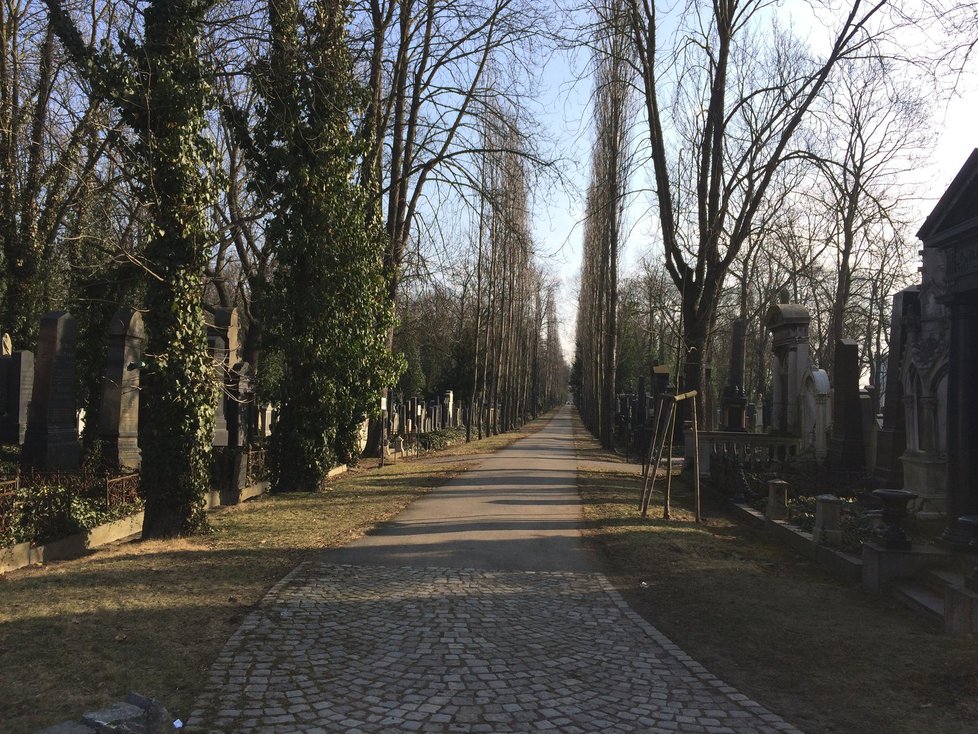 Místo posledního odpočinku Arnošta Lustiga. Nový židovský hřbitov v Olšanech.