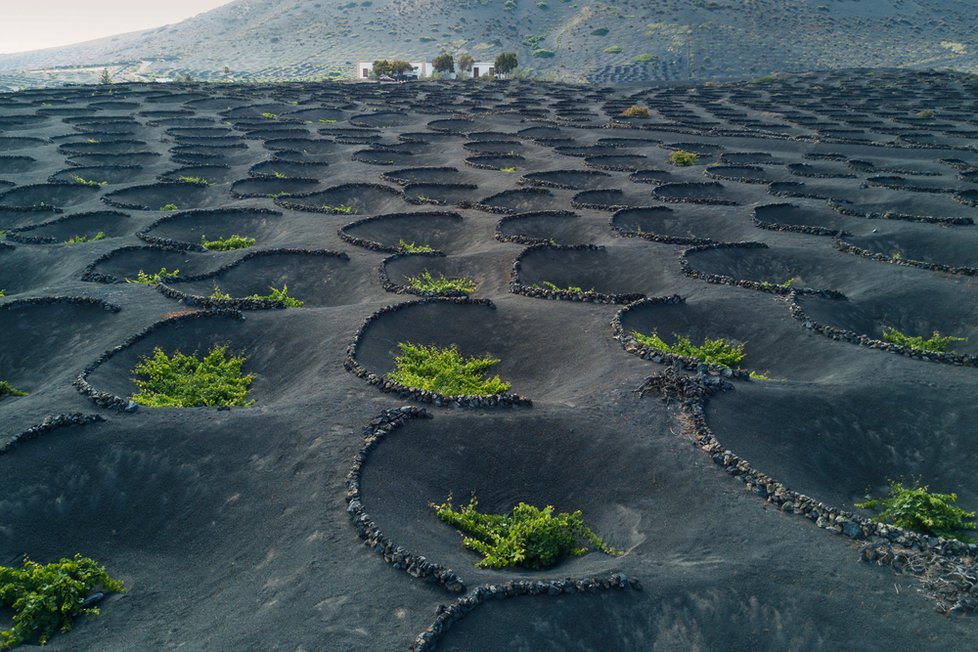 Úchatná vulkanická krajina na Lanzarote