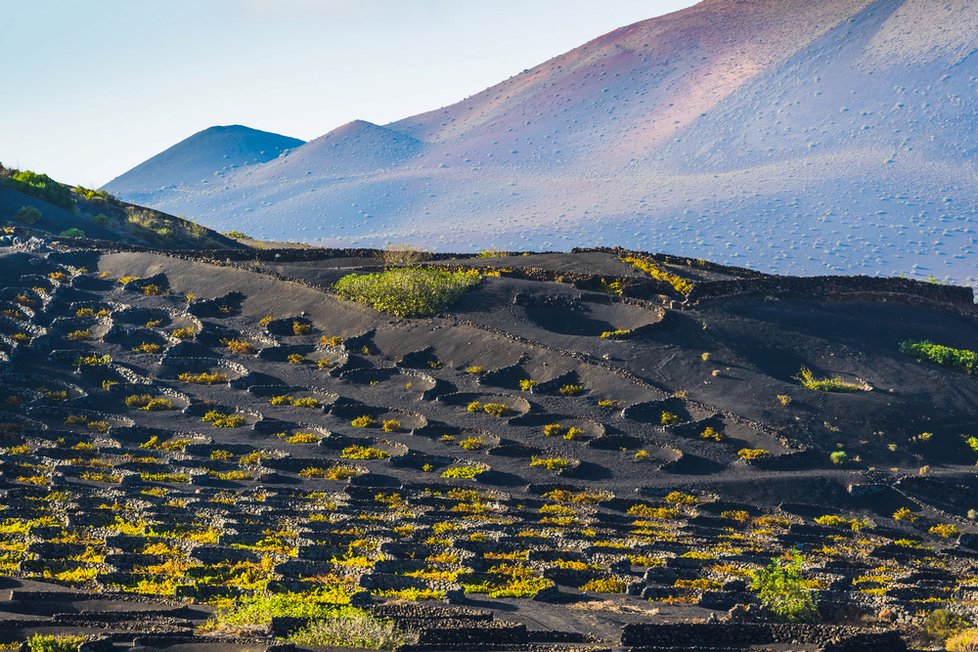 Úchatná vulkanická krajina na Lanzarote