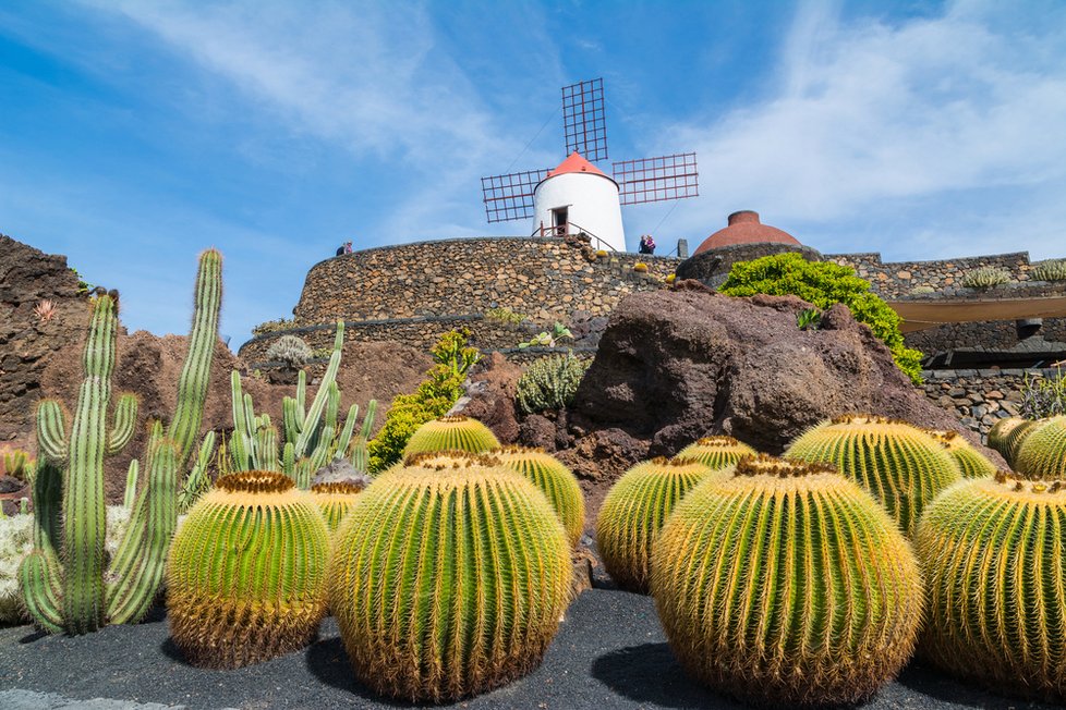 Kaktusová zahrada na Lanzarote