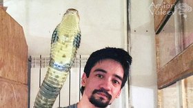 Ruský expert na hady zemřel v přímém přenosu po uštknutí mambou. Spáchal sebevraždu kvůli rozpadu manželství?