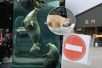 Hrůza ve slavné zoo: Zaměstnanec spálil manželku ve spalovně na mršiny