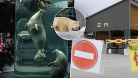 Zoologická zahrada v japonském městě Asahikawa, Hokkaidó