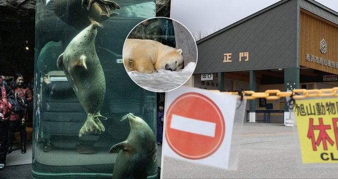Zoologická zahrada v japonském městě Asahikawa, Hokkaidó