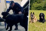 Z asistenčního psa policistou: Policie přijala dva nové pomocníky!