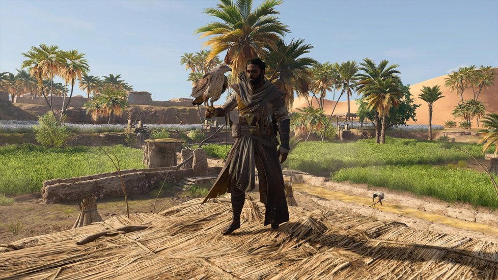 Plíživá akce Assassin&#39;s Creed Origins ze starověkého Egypta.