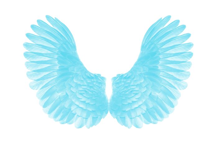 Bílá křídla