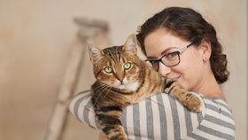 Kočičí horoskop: V jakém znamení se narodila vaše kočka? Sedí to na ni?