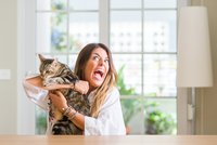 Kdo by nikdy neměl chovat kočky? Těchto pět znamení by si to mělo raději rozmyslet