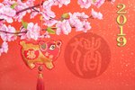 Začíná čínský nový rok Vepře! Co nás čeká? Sundejte si růžové brýle a buďte zodpovědní