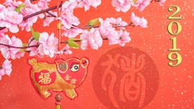 Začíná čínský nový rok Vepře! Co nás čeká? Sundejte si růžové brýle a buďte zodpovědní