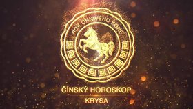 Nový čínský rok pro znamení Krysy: Čeká vás hektické období, plánujte dopředu