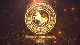 Nový čínský rok pro znamení Opice: Vyzkoušejte vše, co vás zajímá. Příležitostí letos bude hodně