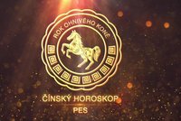 Nový čínský rok pro znamení Psa: Ohnivý Kůň přinese zmatek a vyčerpání. Co s tím?