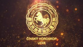 Nový čínský rok ve znamení Vepře: Pozor na vyčerpání! Držte si tempo, které zvládnete