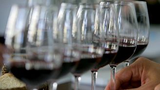 Sommeliér abstinent, výzkumný ústav koček a pilotní průkaz aneb Jak se vyhnout realitě Sommeliér abstinent, výzkumný ústav koček a pilotní průkaz aneb Jak se vyhnout realitě