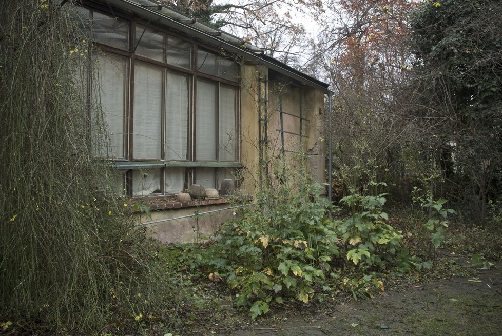 Takto vypadal ateliér sochařky Wichterlové, a jeho okolí, v dobách, kdy byla význačná umělkyně na vrcholu svých tvůrčích sil.