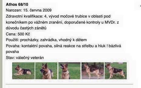 Inzerát na prodej psího hrdiny, který zveřejnila armáda.