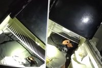 Zloděje policisté našli schovaného v lednici: Prý se chtěl ohřát