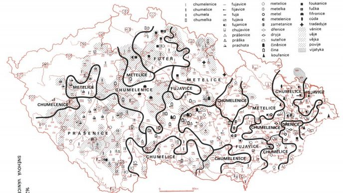 Fujavice, metelice, chumelenice, kouřenice