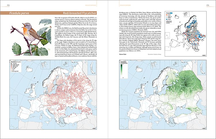 Druhý evropský atlas hnízdního rozšíření ptáků, který vydalo španělské nakladatelství Lynx, má 967 stránek