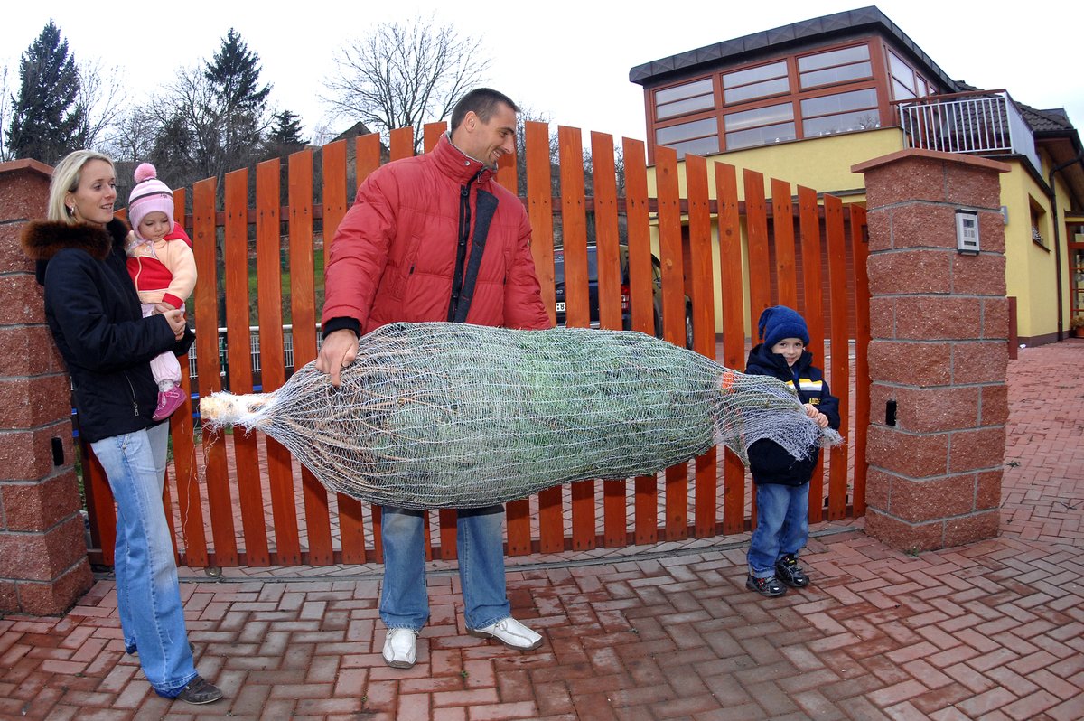 2006. Sváteční pohoda. Roman Šebrle a jeho rodina stěhují domů vánoční stromek.
