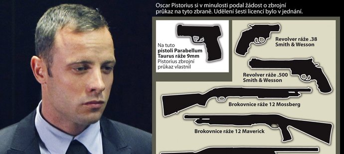 Šest zbrojních průkazů! Na tolik zbraní chtěl mít Oscar Pistorius povolení
