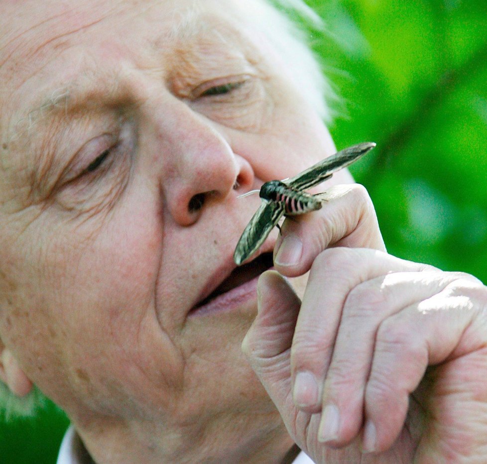 Sir David Attenborough (92)