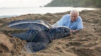 Ukázal světu všechny zázraky přírody, teď bojuje za jejich záchranu. David Attenborough slaví 95 let