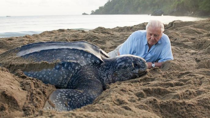 Průvodce přírodopisnými filmy Attenborough trpí neuvěřitelnou fóbií