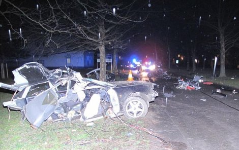 Po nárazu do stromu zahynul řidič i jeho spolujezdkyně.