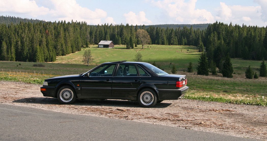 Audi V8, foto: Alexandr Šmejkal