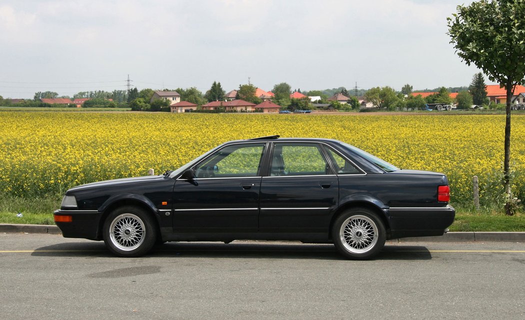 Audi V8, foto: Alexandr Šmejkal